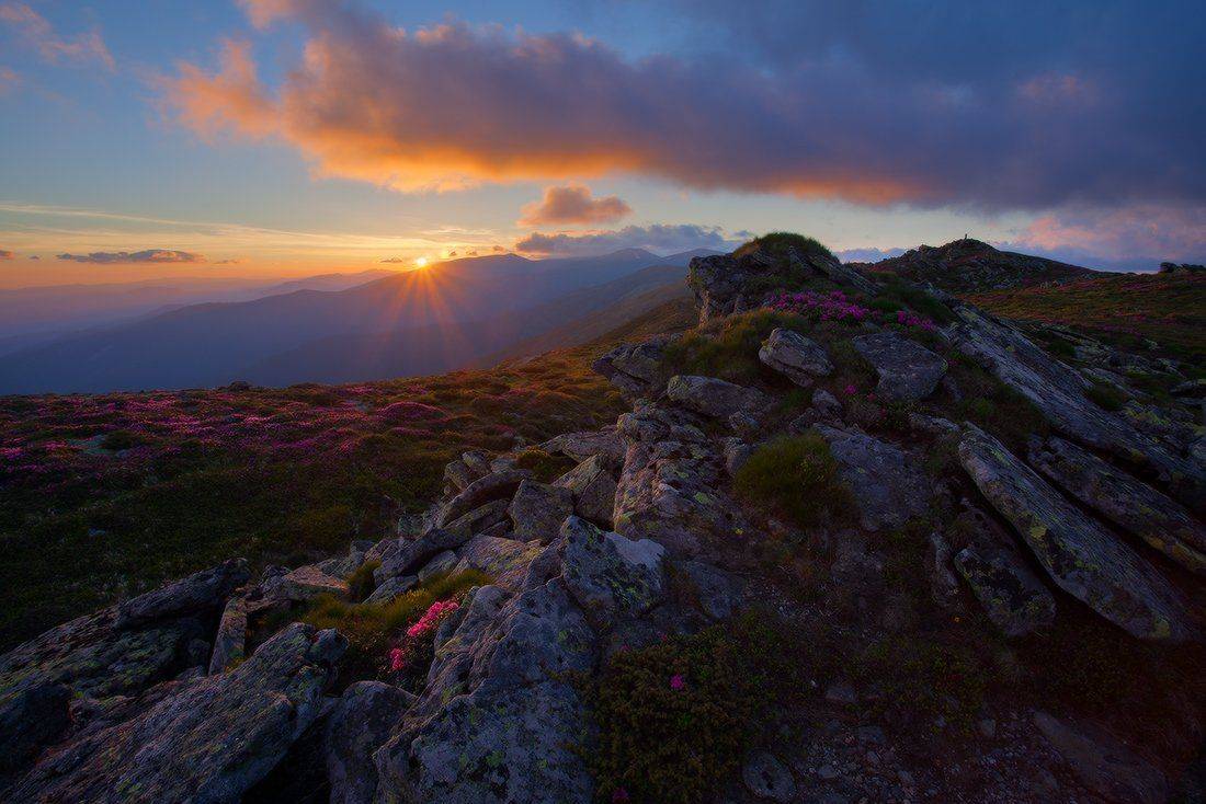 , Ярослав Тюрменко (Jaremi)