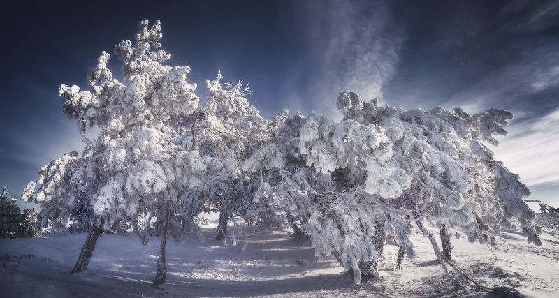 Демерджи, Зима, Крым  фото превью