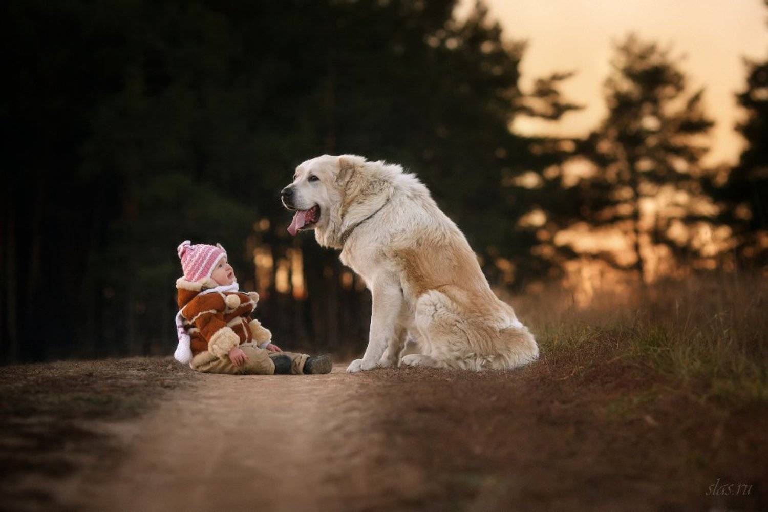 дети, собака, алабай, Андриянкина Светлана