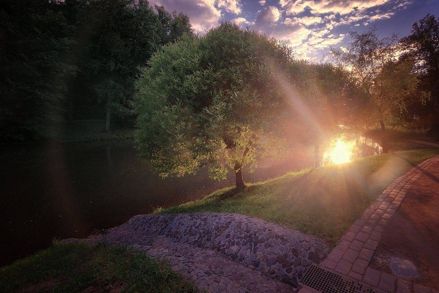 , Алексей Никонов