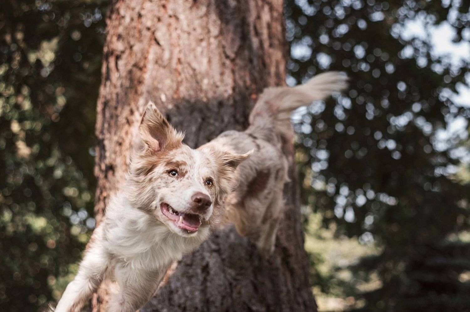 , Тюрина Анна