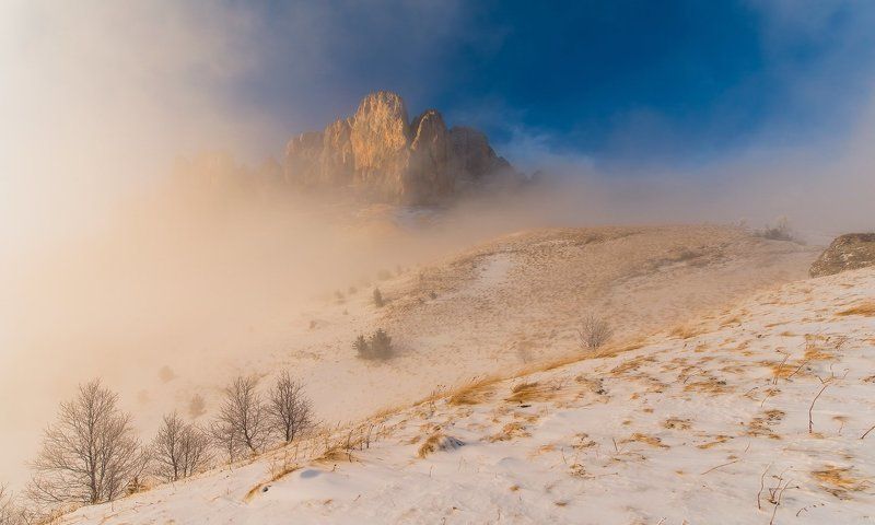 Взял и вышел из тумана фото превью