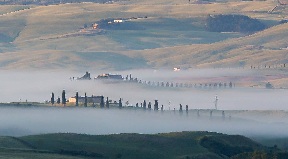 , Лядимов Дмитрий