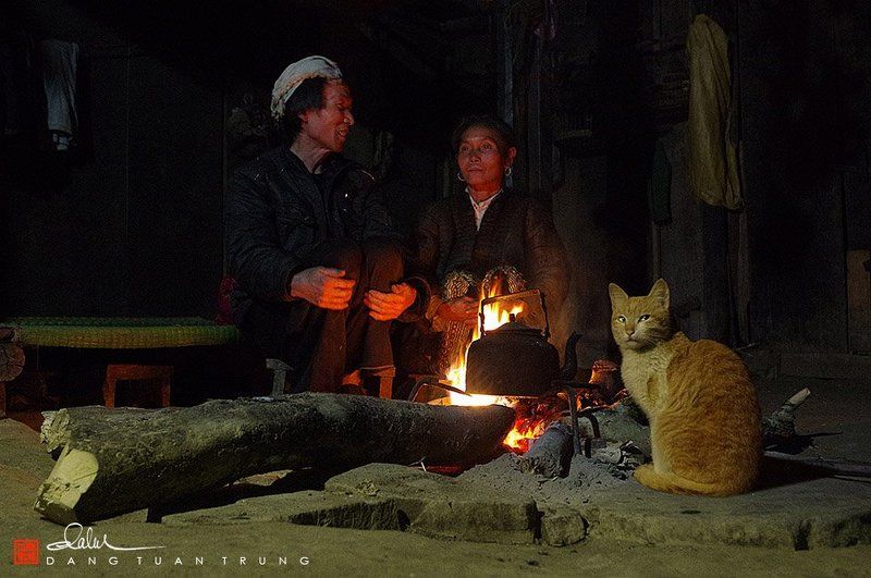 frank dang, dang tuan trung, Winter night фото превью