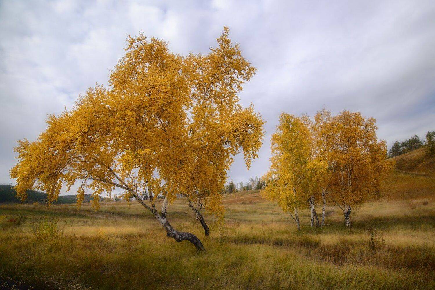, Сергей Брагин