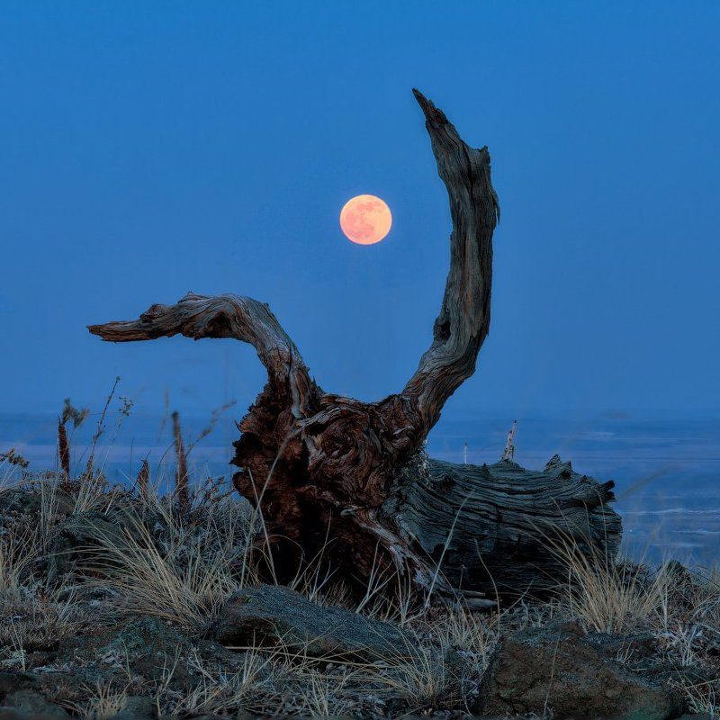 Башкирия, Весна, Луна, Нурали Moon Hunter фото превью