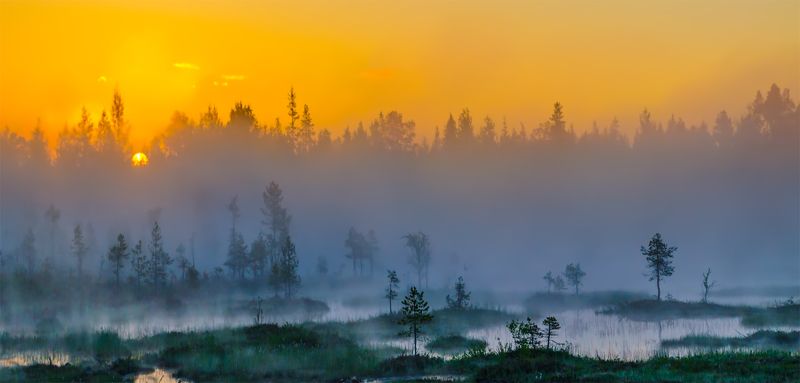 Болото, Восход, Карелия, Лето, Панорама, Пейзаж, Природа, Рассвет, Утро На рассвете фото превью