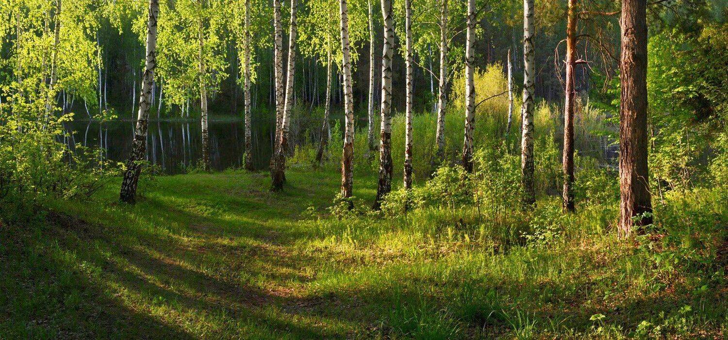 берег, весна, солнечный свет, теплый вечер, Irina Shapronova