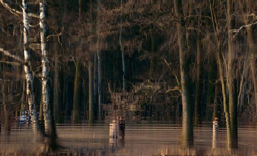 Скоро будет так! Или видения Кузьминского пруда…