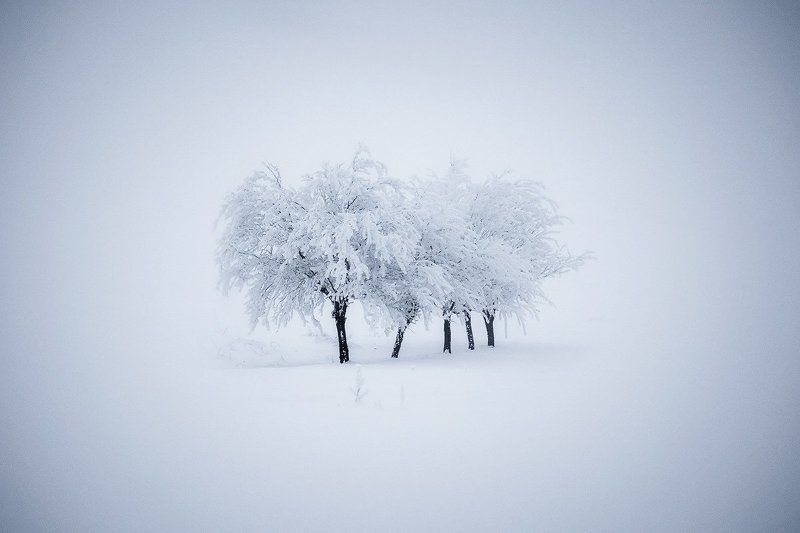 About Winter фото превью