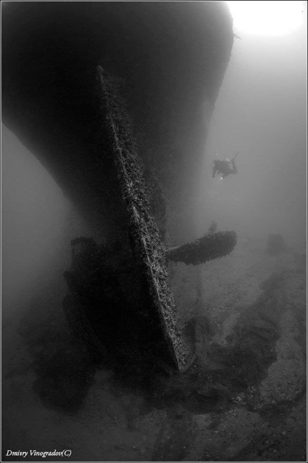 , Дмитрий Виноградов