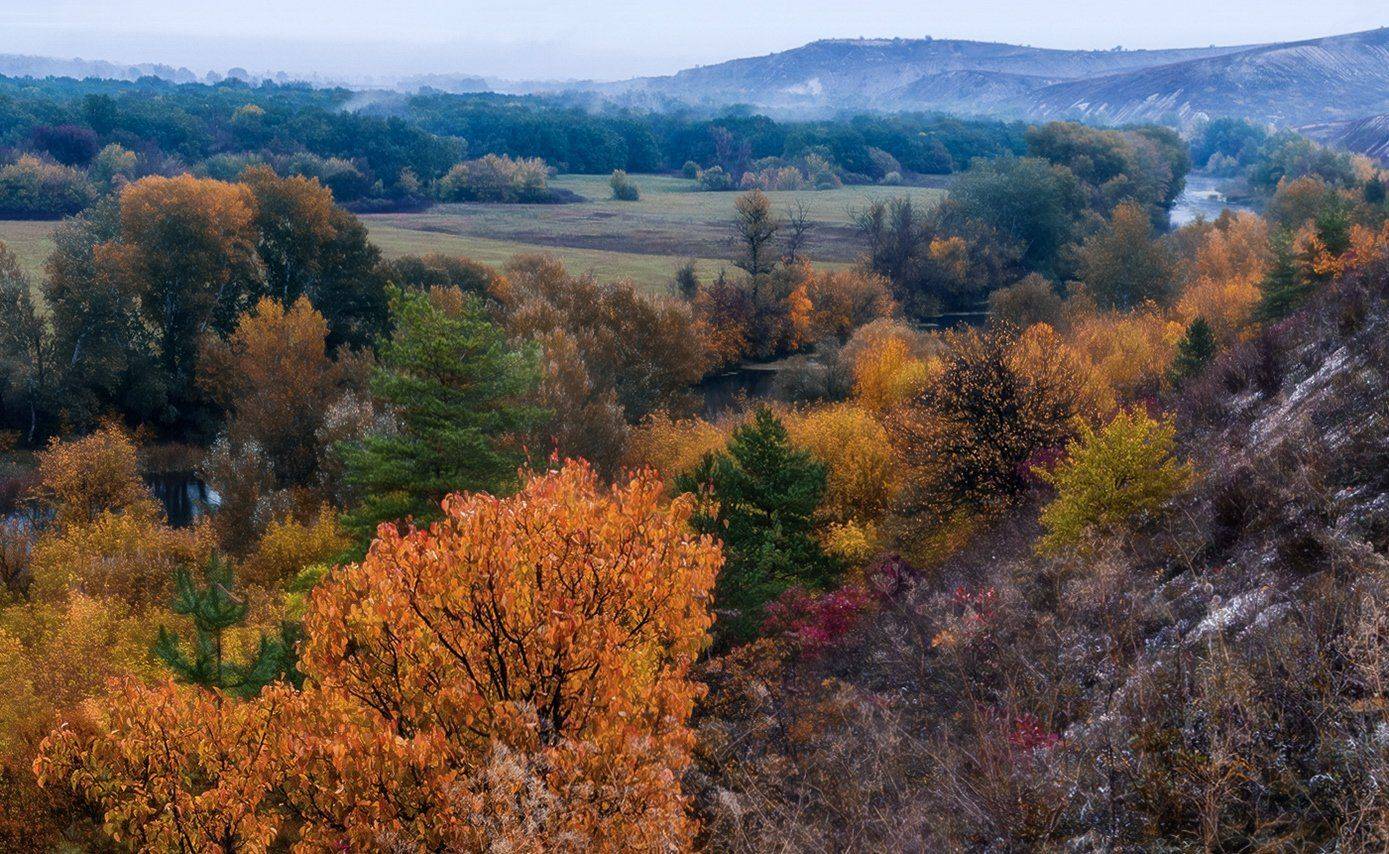 , Игорь Мелекесцев