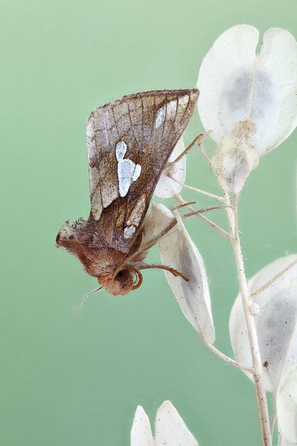 , Сергей Таланов