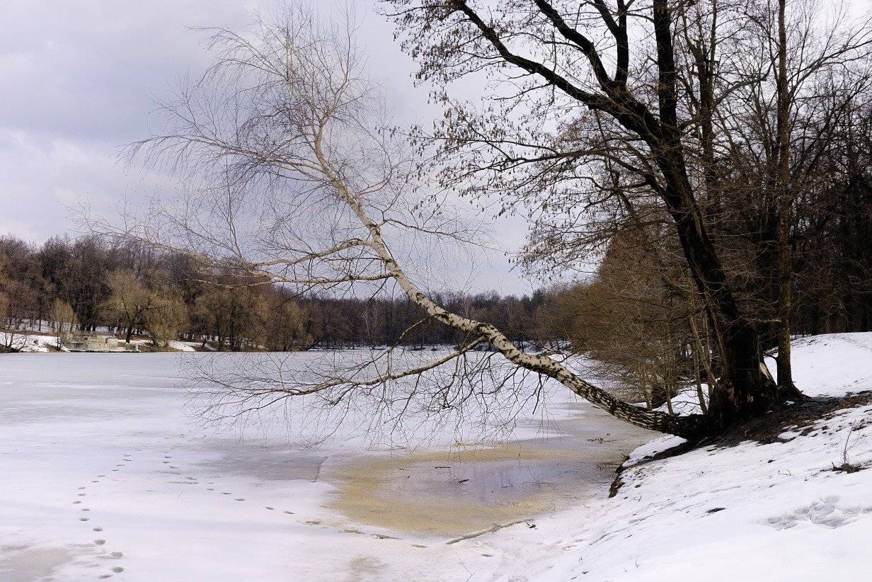 , Аникеев Владимир