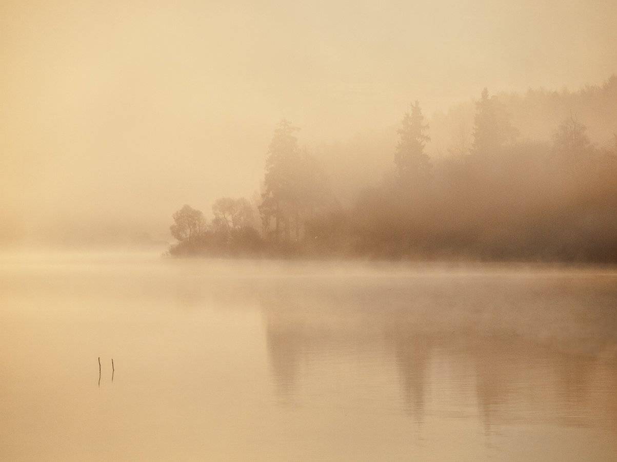 , Владимир Перепечаев