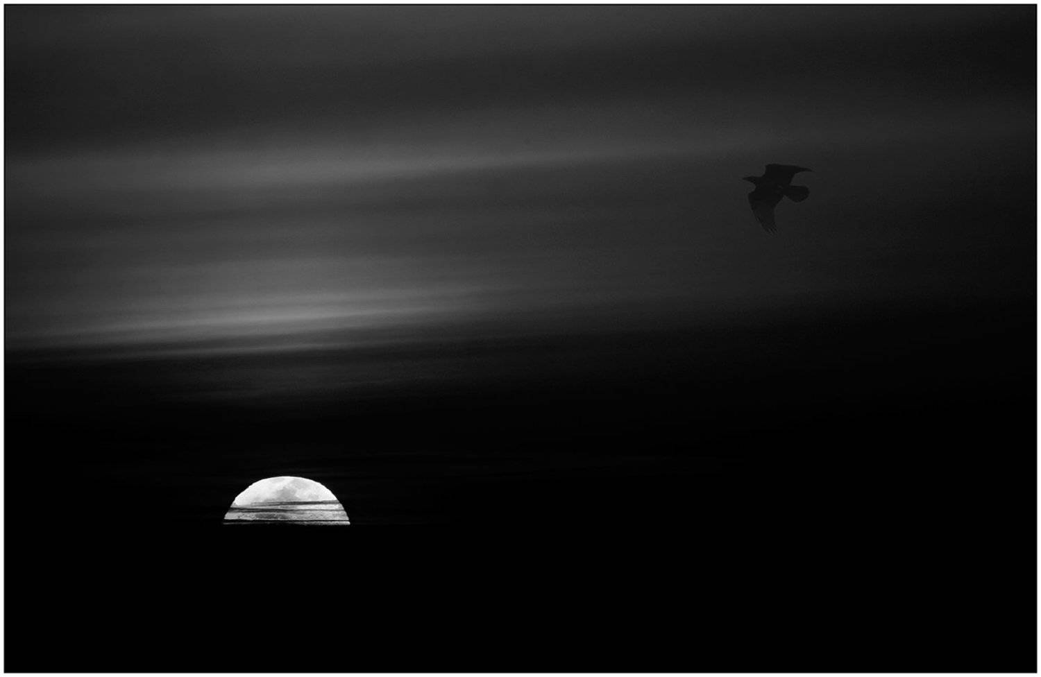 , Роман Рыжков