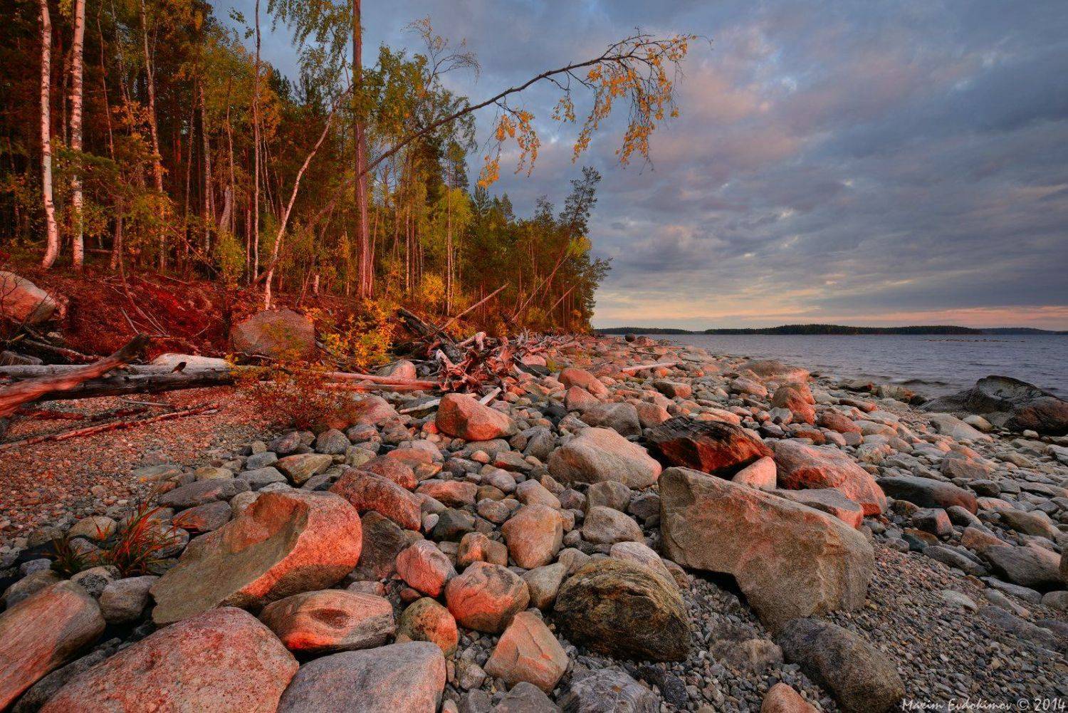 , Максим Евдокимов