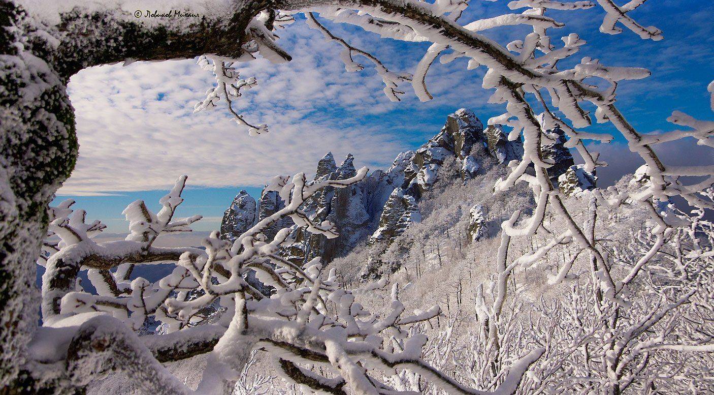 , Ловиков Михаил