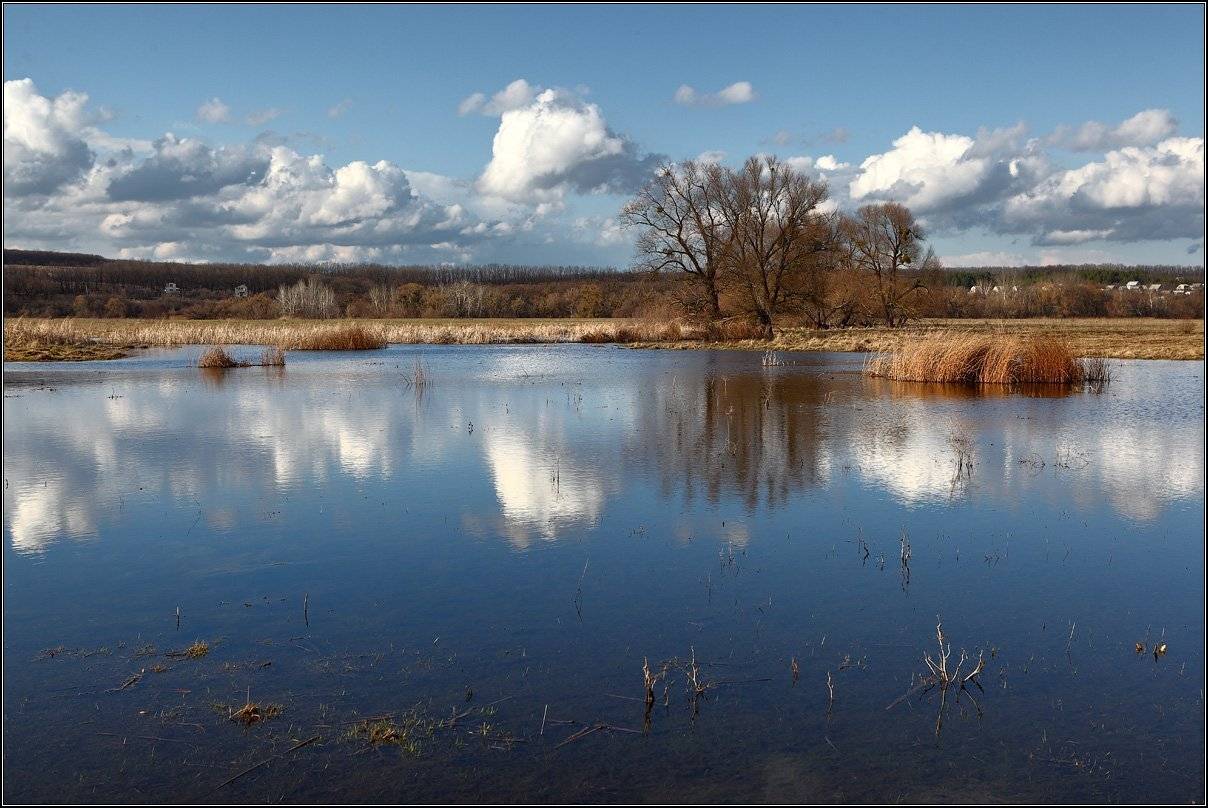 , Михаил (mgk)