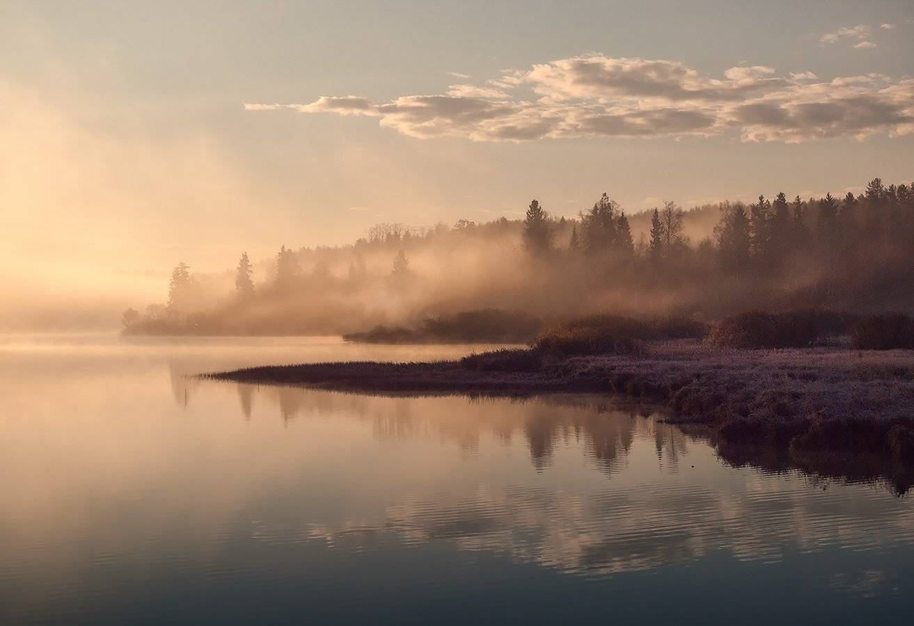, Владимир Перепечаев
