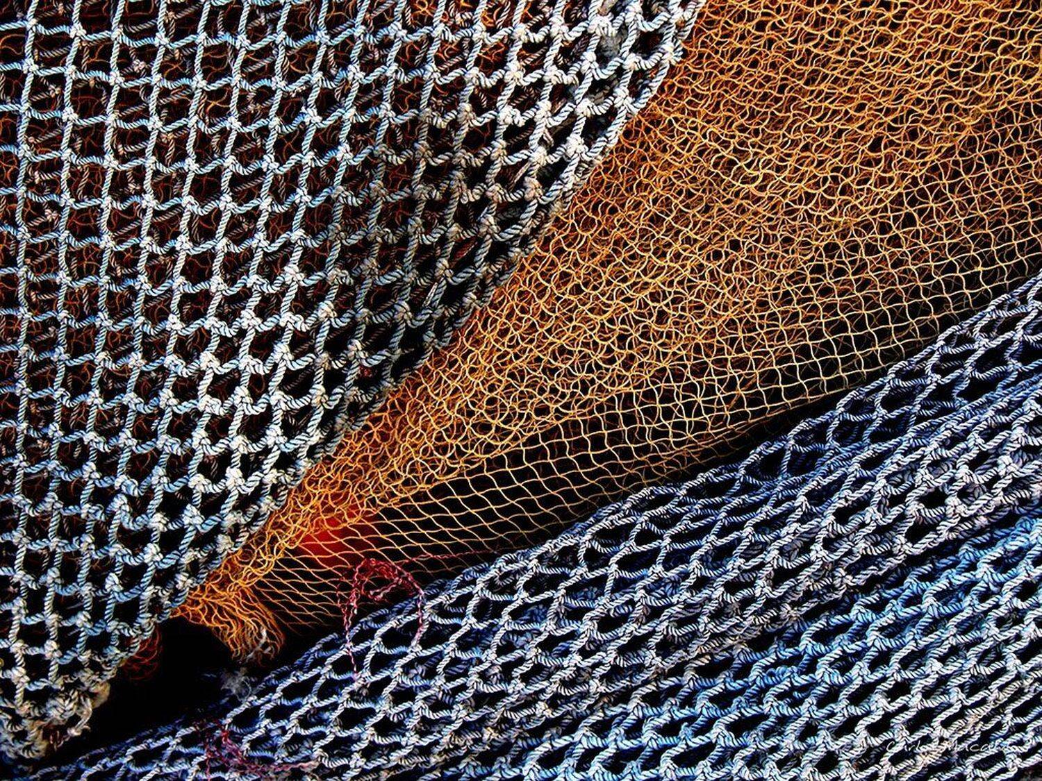 macro, urban, city, sea,, Carlos Machado