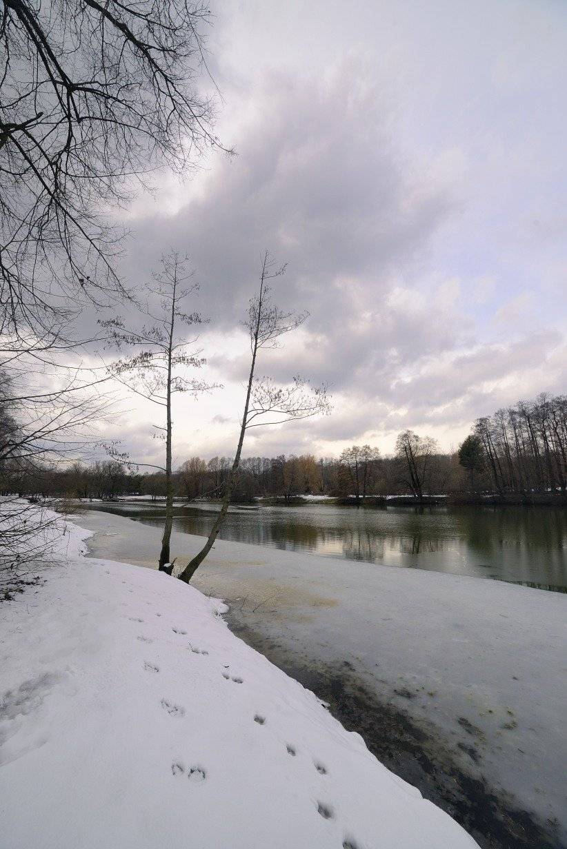 , Аникеев Владимир