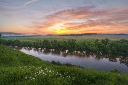 Рассвет с анемонами