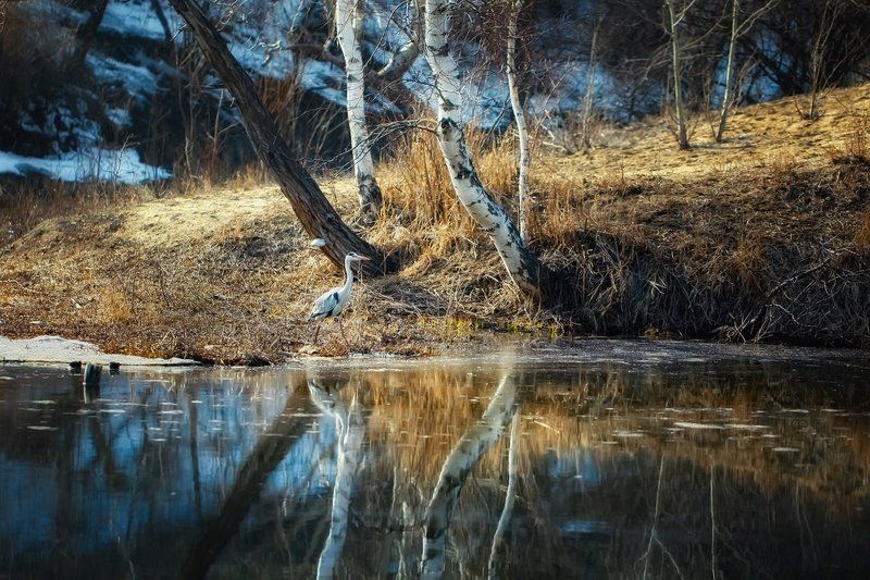 История одного маленького озера... фото превью