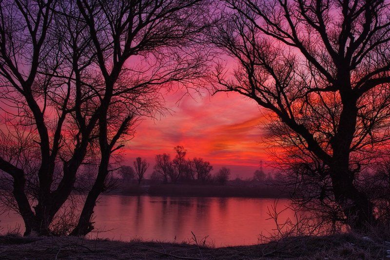 булгария, деревья, озеро, разсвет На раcсвете фото превью