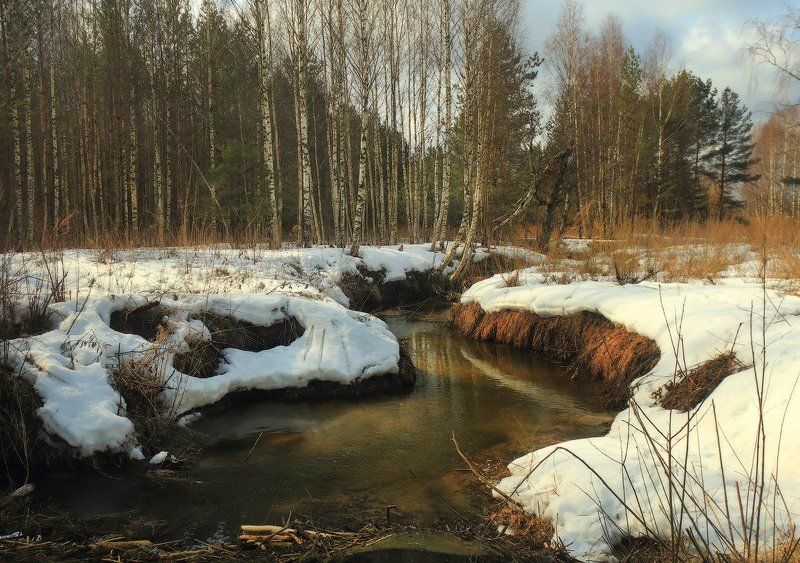 Весенние зарисовки фото превью