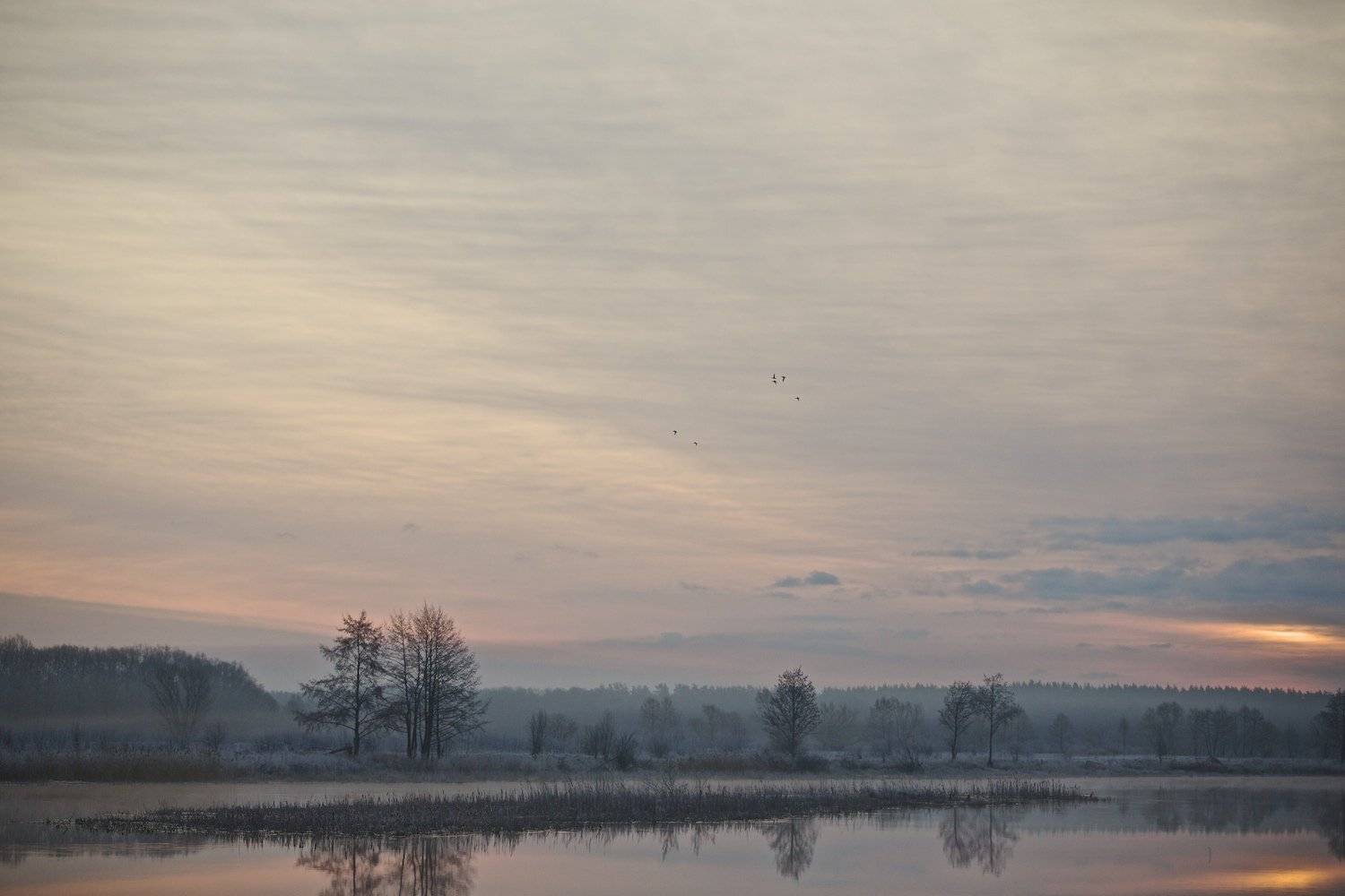 апрель, весна, липецкая область, рассвет, река воронеж, россия, Мазурин Евгений