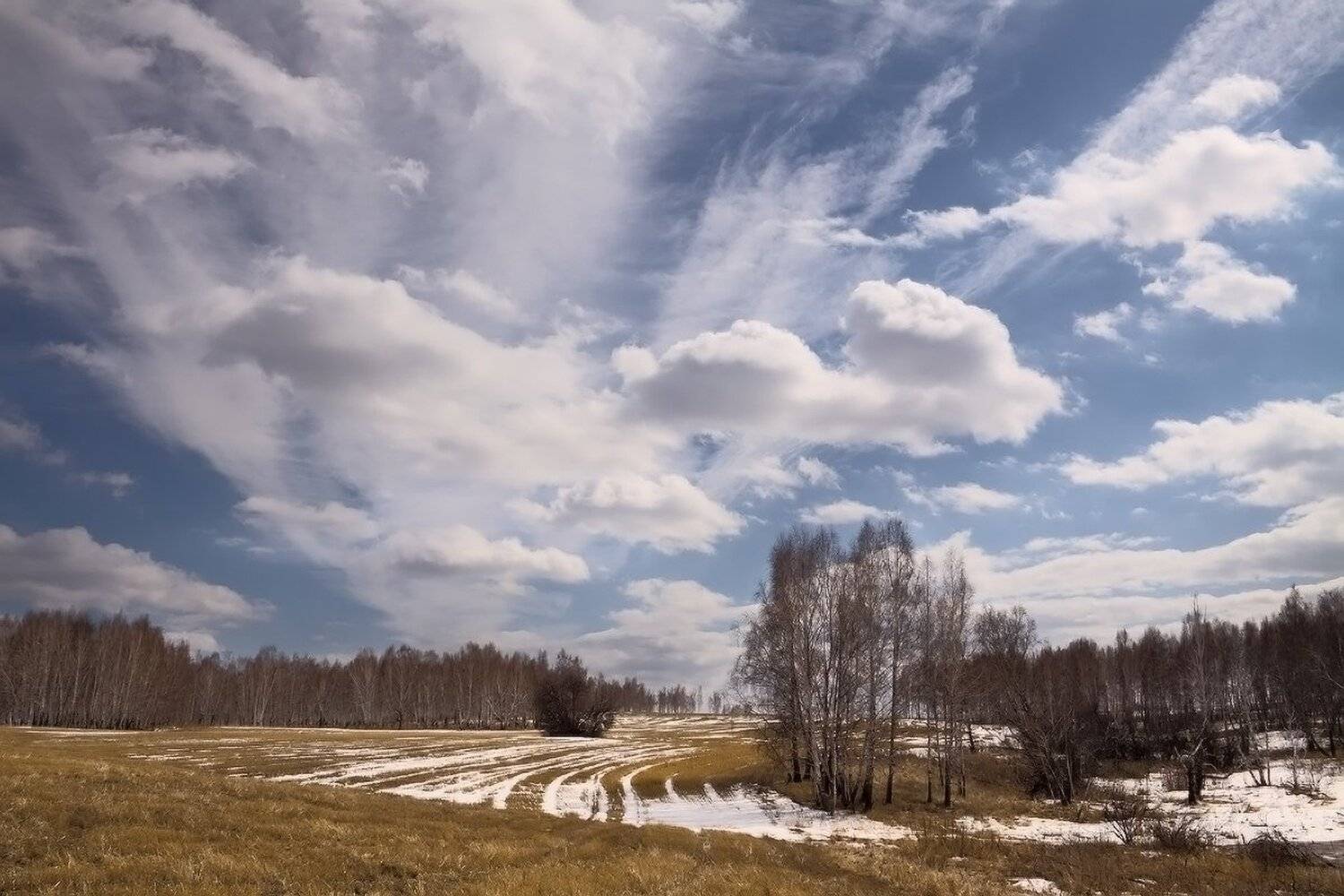 , Николай Морский