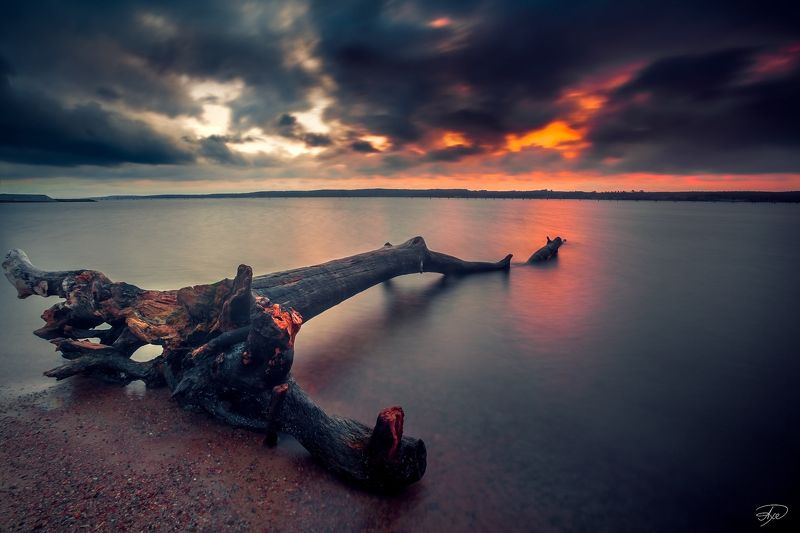 Flaming Curonia фото превью