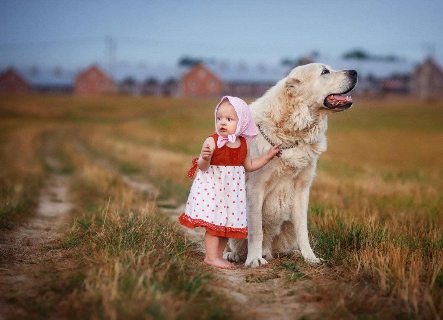 , Андриянкина Светлана
