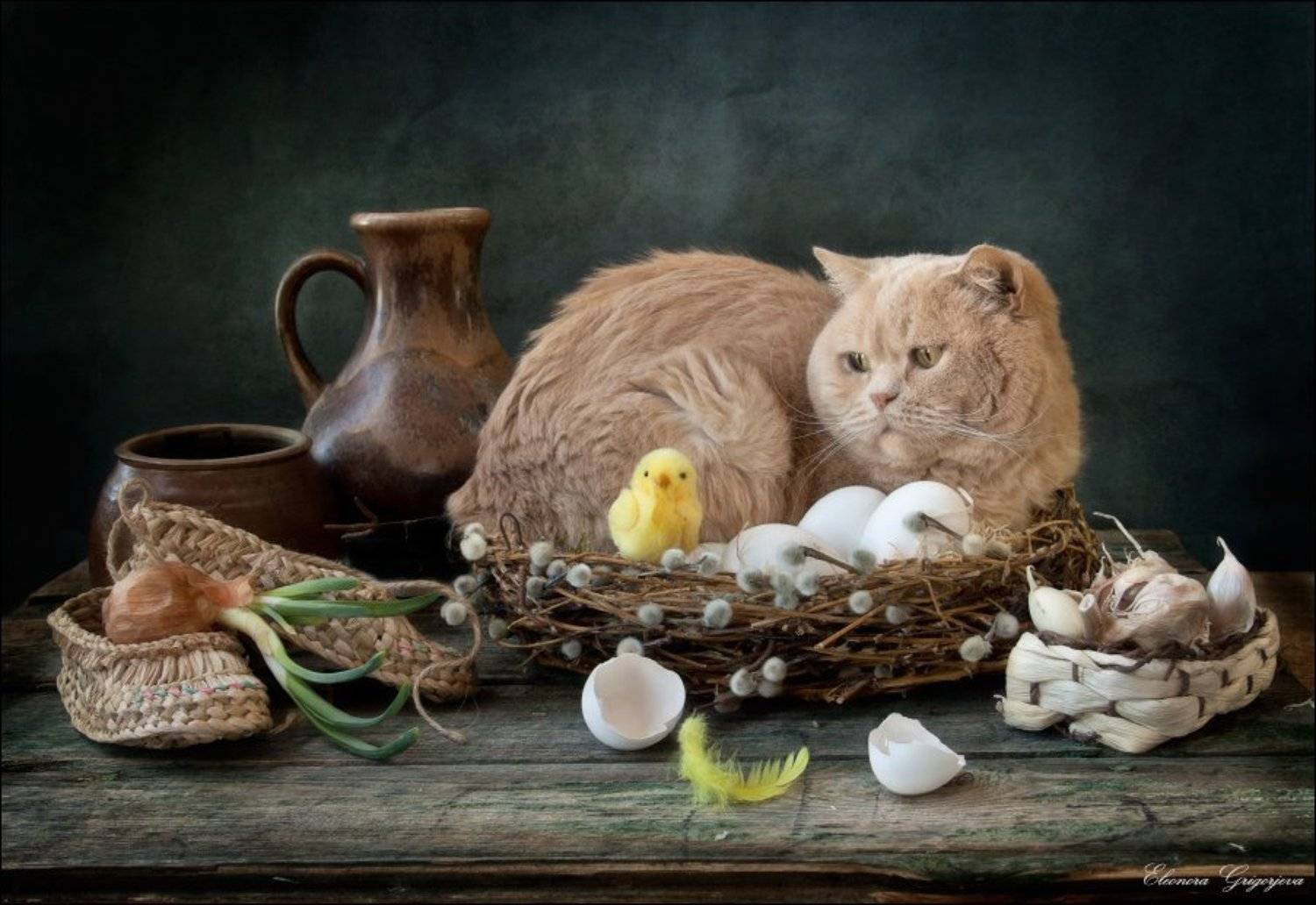 Весна, Гнездо, Кот, Натюркотики, Цыплёнок, Яйца, Eleonora Grigorjeva
