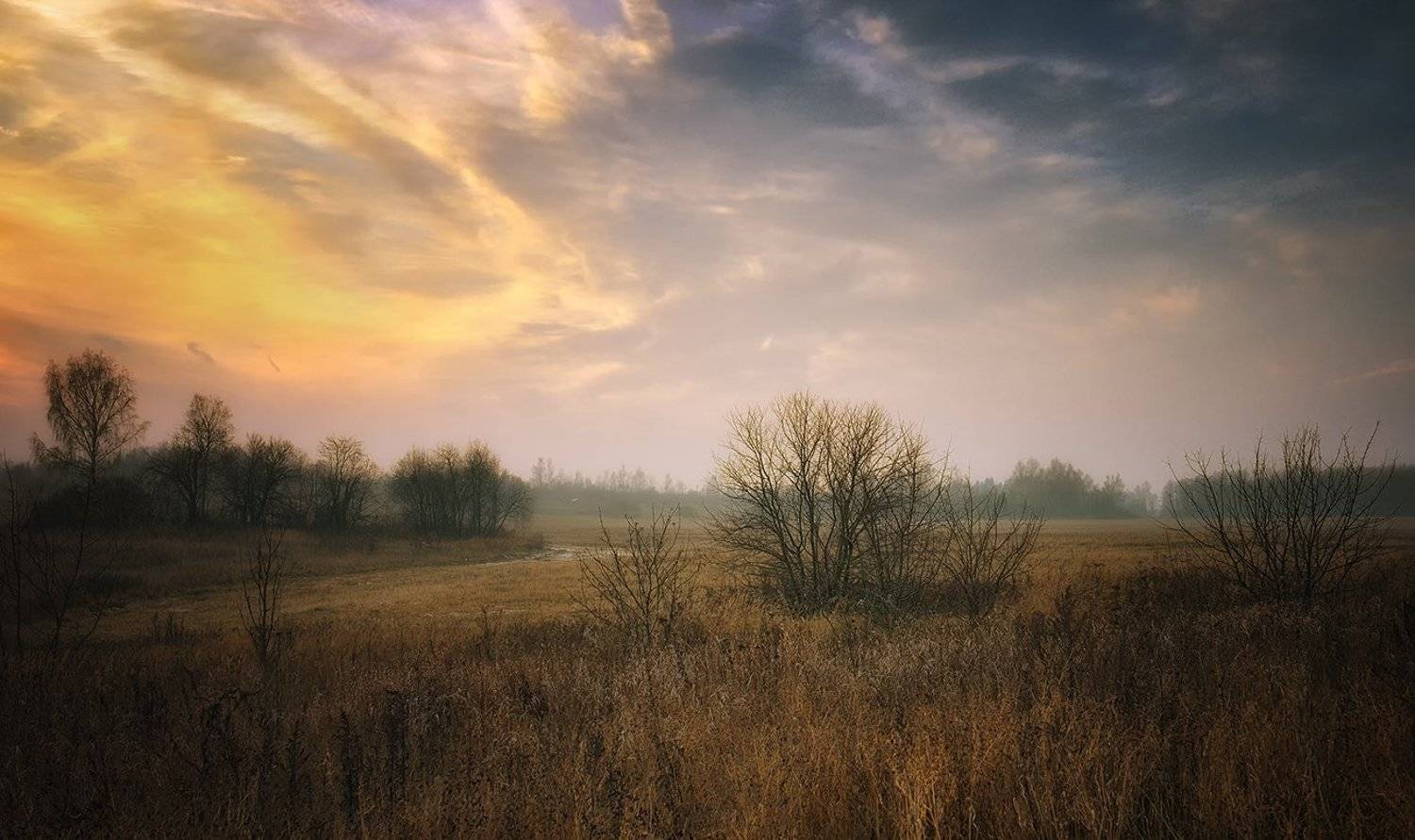 , Алексей Никонов