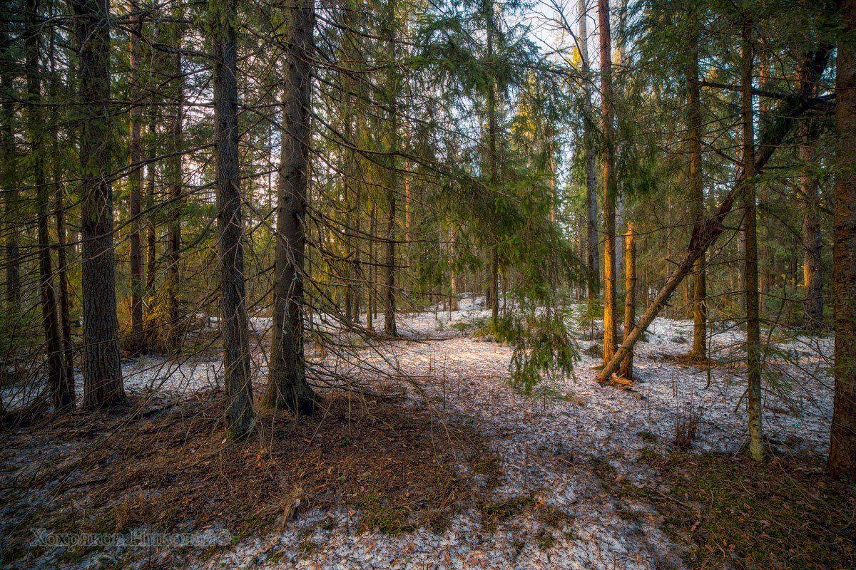 , Хохряков Николай