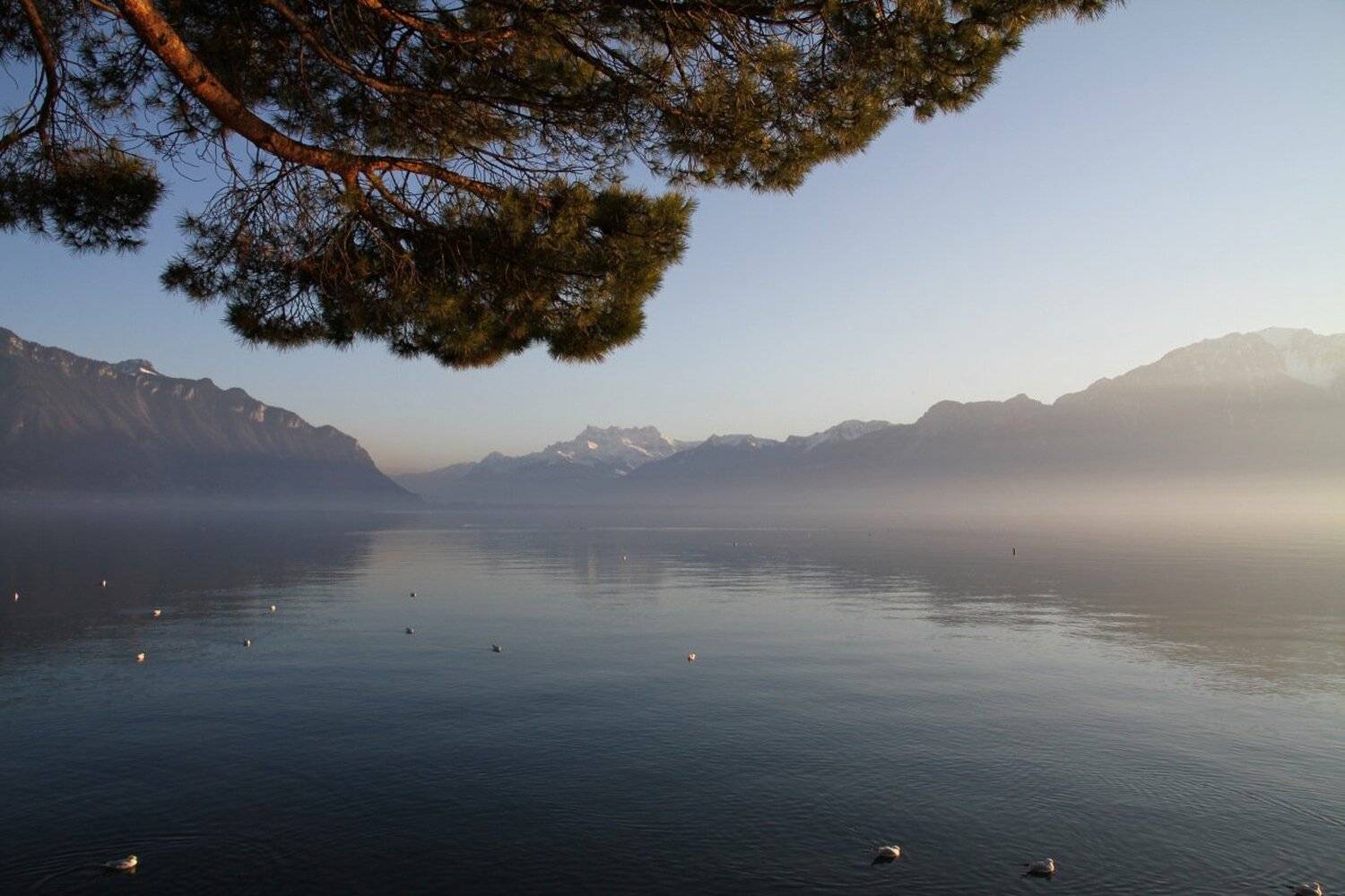 , Ekaterina Eicher (Velichko)