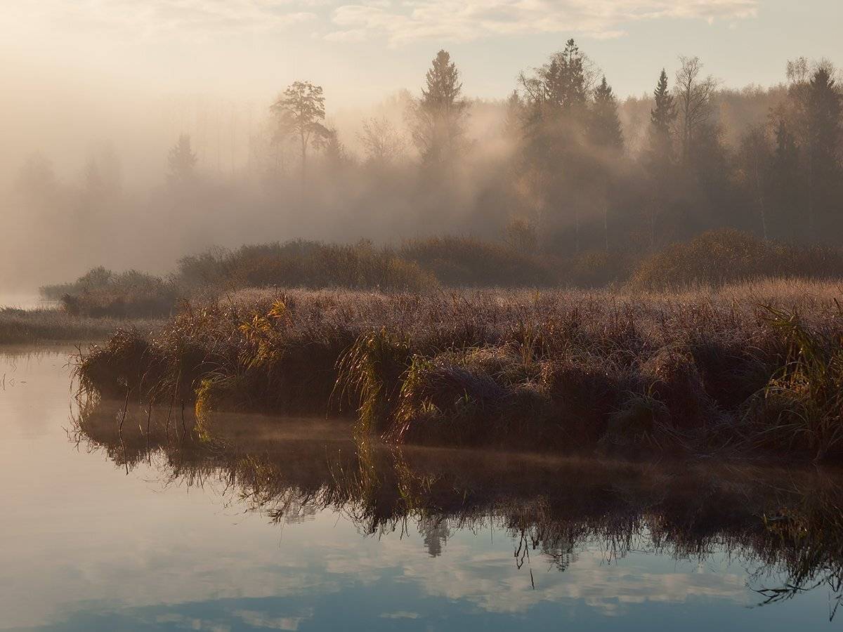 , Владимир Перепечаев