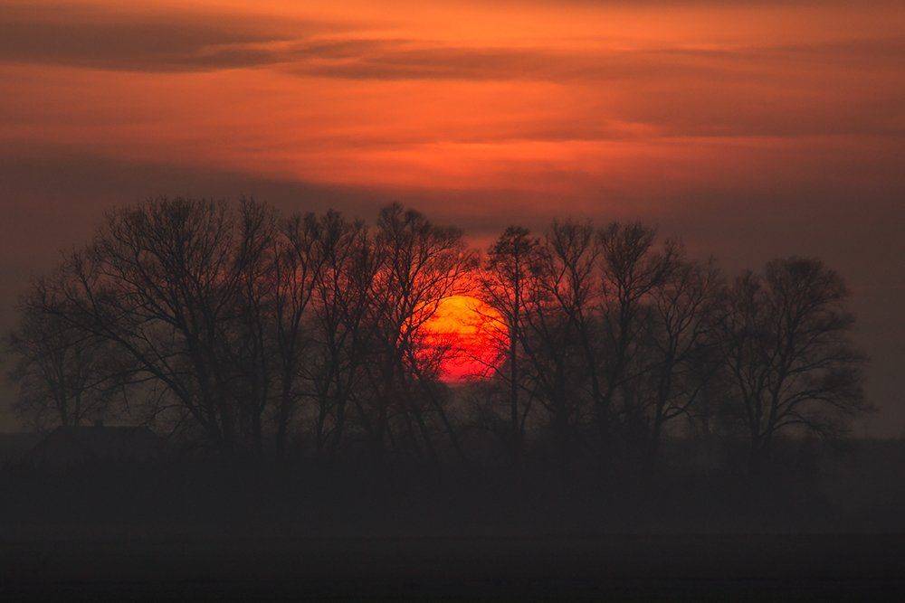 , Pawel Plucinski