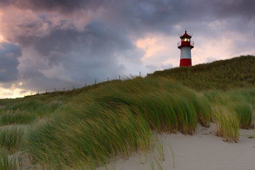Сoast of the island Sylt