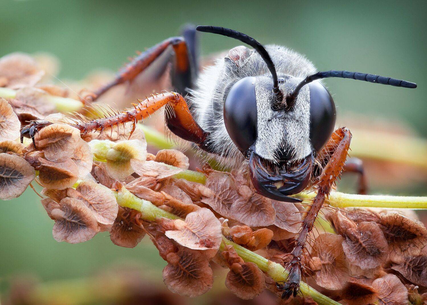 , Кузнецов Дмитрий