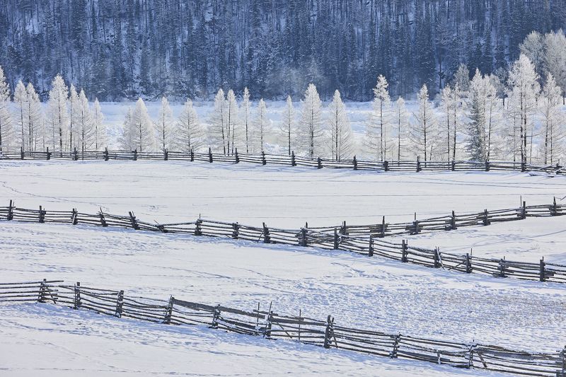 Загон фото превью
