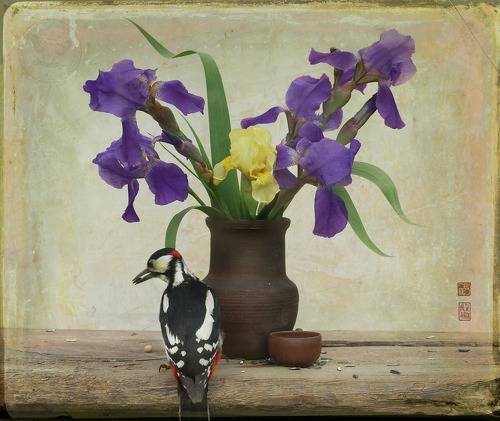 Ирисы и БПД