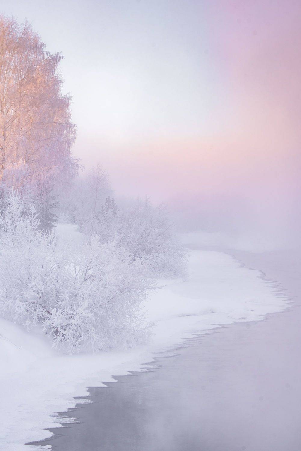 , Шуплецов Алексей