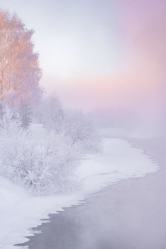 Зефирный туман на берегу реки. фото превью