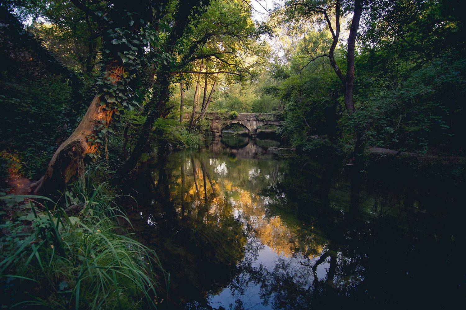 крым, Юрий Коваленко