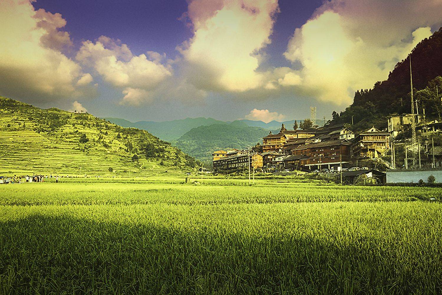 吾乡即远方, 吴 微雨墨烟鸿