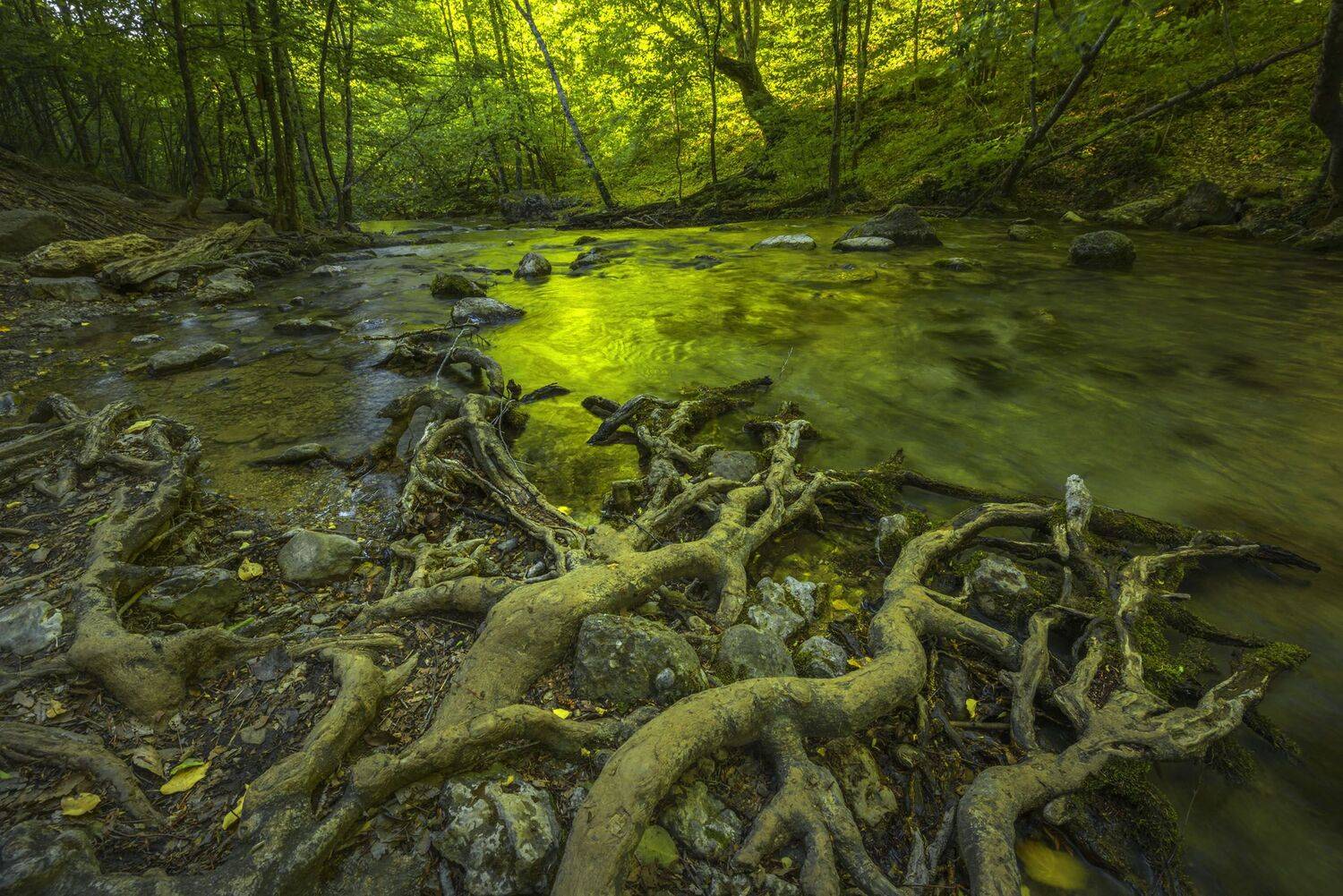 фототуры с Владимиром Рябковым, #topnature #russpasibo #magic_shots #lovelyRussia #sunset_vision #exclusive_sky  #exclusive_shots #loves_russia2 #photoarena_nature #nature_sultans #nature_perfection #rsa_sky #rsa_sunset #photorussia #rsa_naturepics #sunse, Владимир Рябков