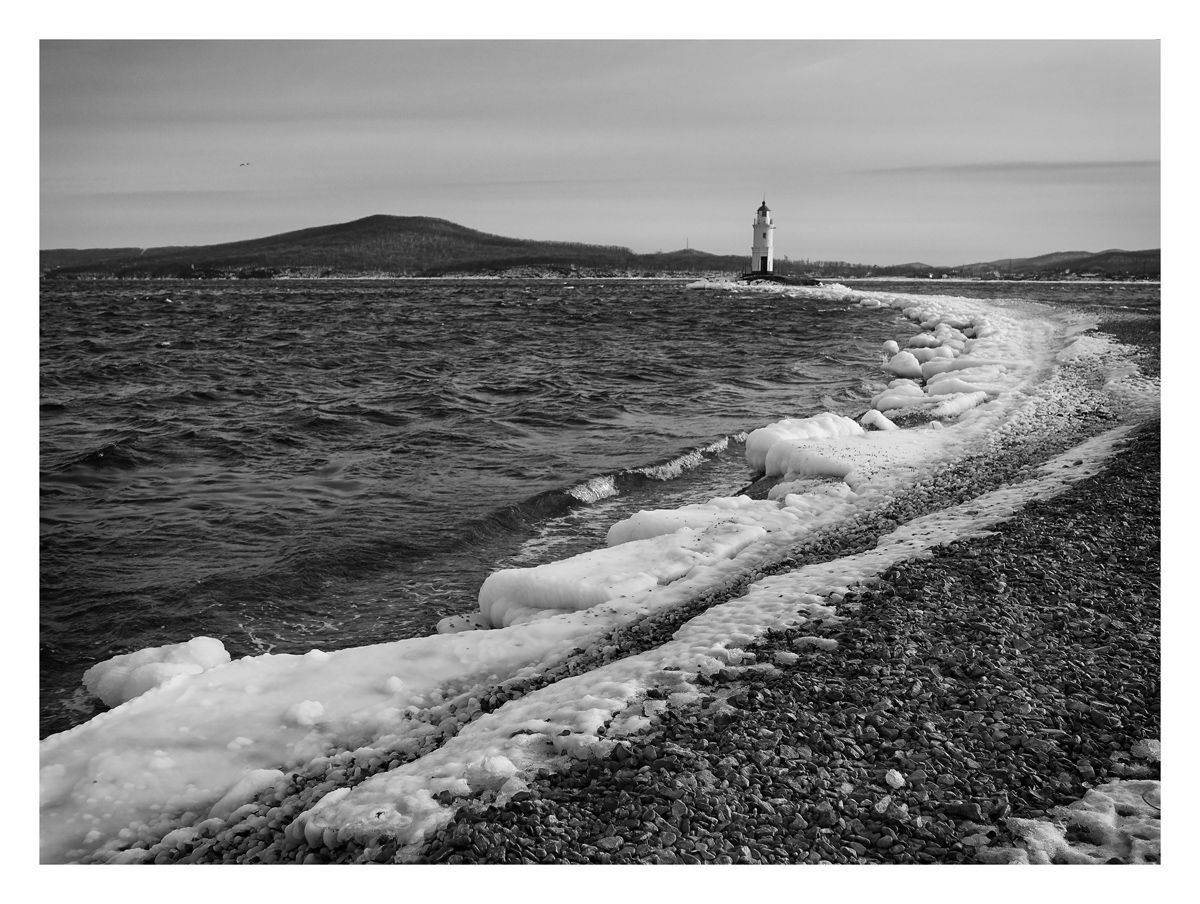 , Дмитрий Заковоротный